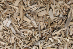 biomass boilers Satran
