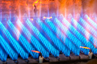 Satran gas fired boilers